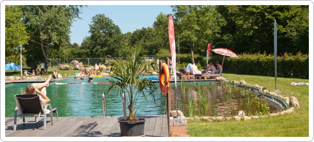 Natur-Schwimmteich